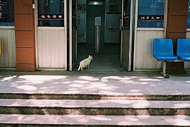 “周促不停！Quantic Dream游戏史低不断”